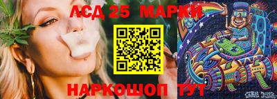 Альфа ПВП Будённовск