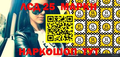 Альфа ПВП Будённовск