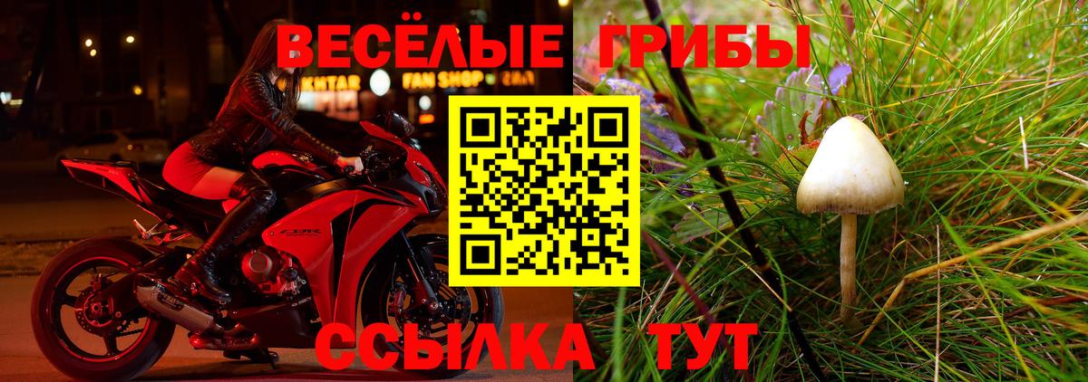 Псилоцибиновые грибы Psilocybine cubensis Куйбышев
