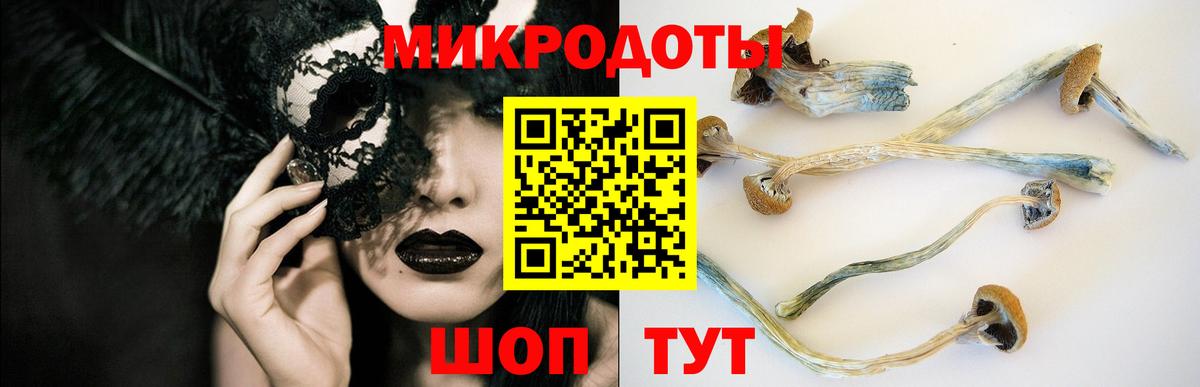 Галлюциногенные грибы Psilocybine cubensis  Галлюциногенные грибы Magic Shrooms  Куйбышев  Вход с VPN 